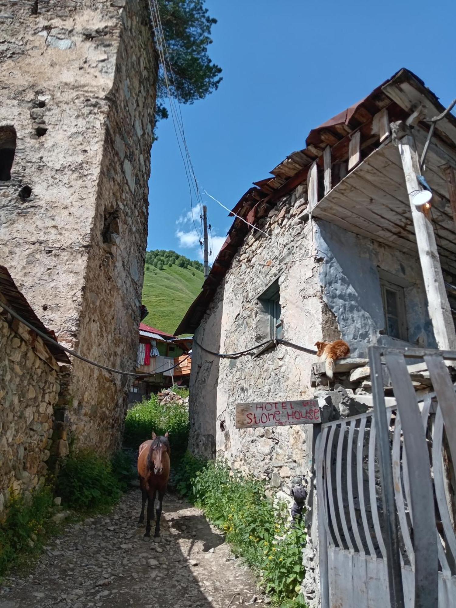 Stone House Marexi Hotel Adishi Buitenkant foto